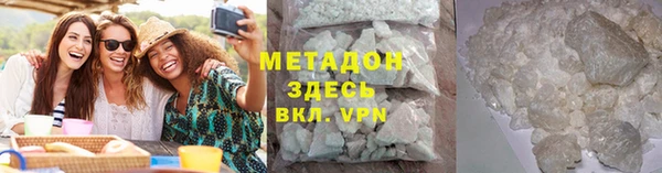 прущие грибы Аркадак