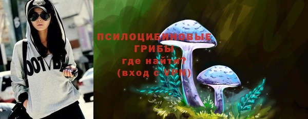 прущие грибы Аркадак