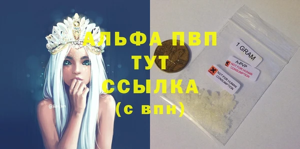 прущие грибы Аркадак