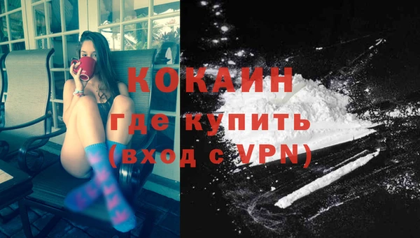 прущие грибы Аркадак