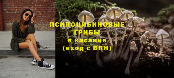 мяу мяу мука Армянск