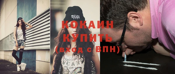 прущие грибы Аркадак
